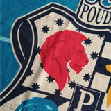 Serviette de bain et de plage Harry Potter WB Armoiries
