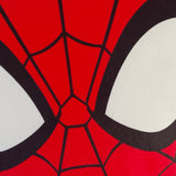 Coussin forme Spiderman Home Head