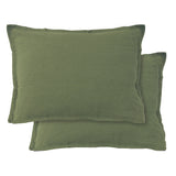 Lot de 2 Taies d'oreiller Passion Lin